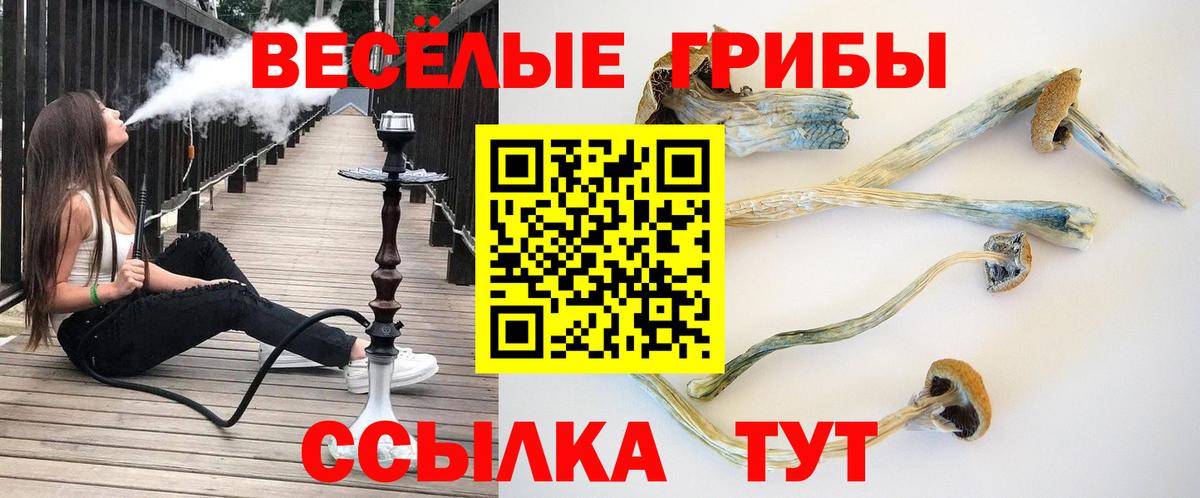 Псилоцибиновые грибы Magic Shrooms Иваново